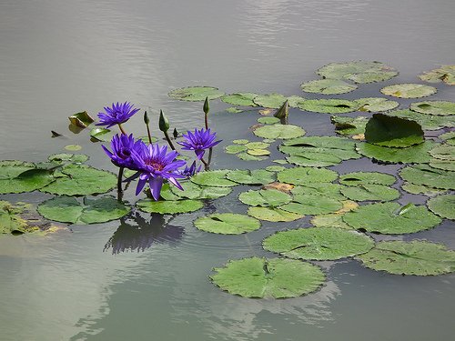 DSCF3447