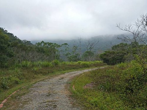 延著小進入可以到達明湖宮