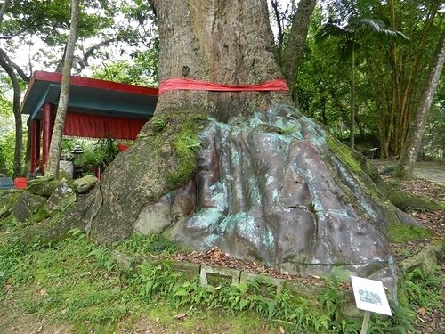 油車伯公+北埔大林開山伯公/二寮神木-350年樟樹神木/油車