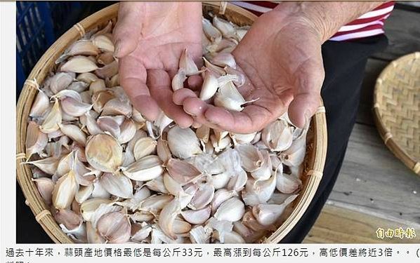 產銷制度/蔬菜之母」高麗菜/「滾動倉儲」機制是目前政府唯一可