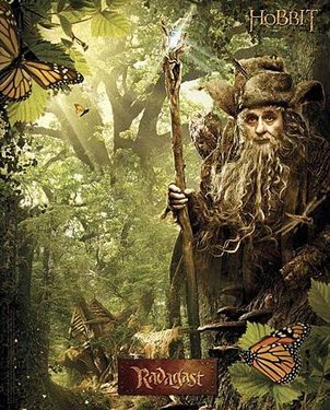 poster-affiche-the-hobbit-radagast.jpg
