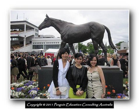 Melbourne Cup 2011 (28).jpg