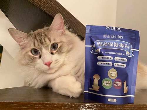 【真實分享】貓咪排便問題：Aniki吃酵素益生菌Ｓ（便便問題