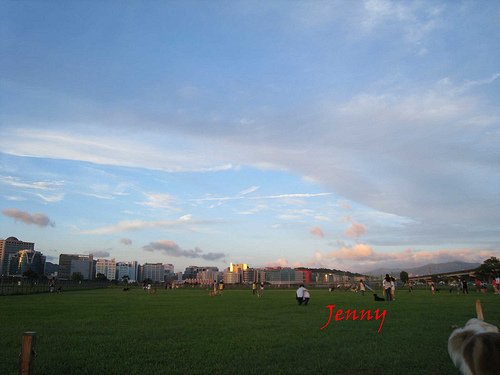 IMG_5548 拷貝