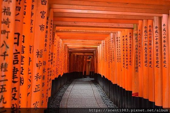 【日本開箱】日本神社探索：迷人的神社鳥居用途是什麼呢？構造和