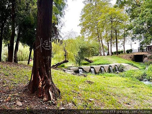 ＊【台南開箱】超酷的城市森林「巴克禮紀念公園」荒野公園，你我