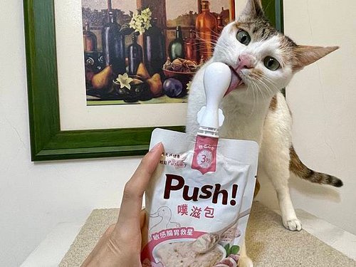 Push 噗滋包試吃