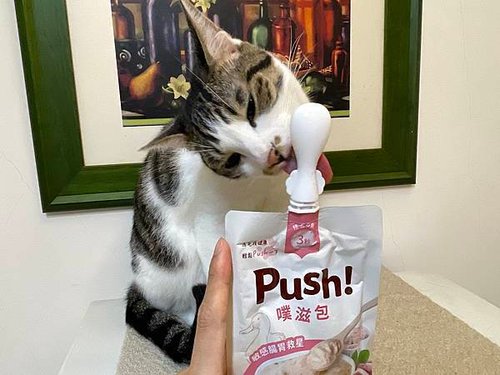 Push 噗滋包試吃