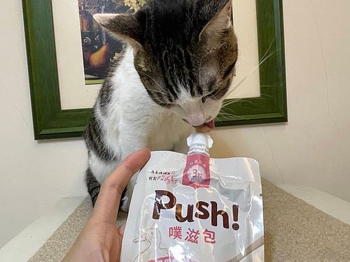 Push 噗滋包試吃