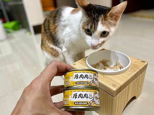厚肉肉開箱1