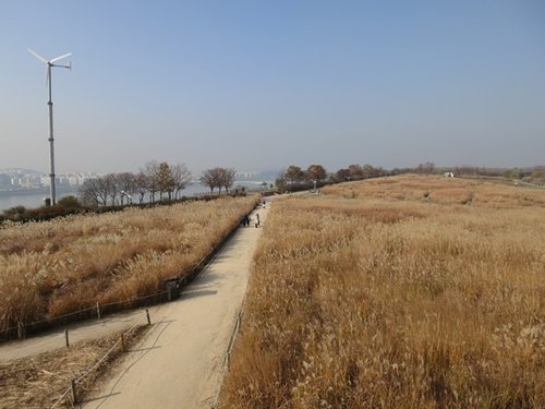 IMG_4898.JPG