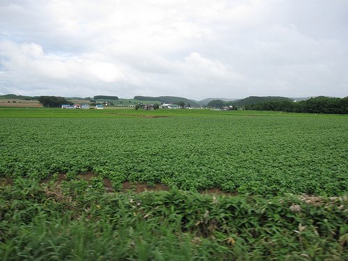 Norokko Train上拍風景 (by ShuLin)