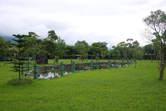 P1050428