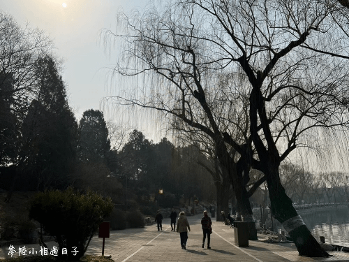 北京自由行必去景點_北京北海公園