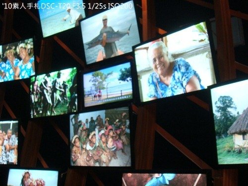 20100731029