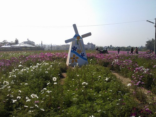 2014年美濃花海