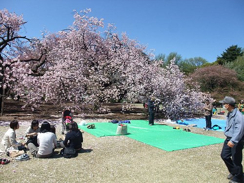 新宿御苑風景1