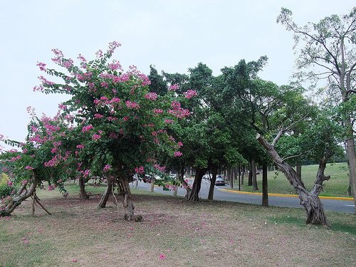 高美館