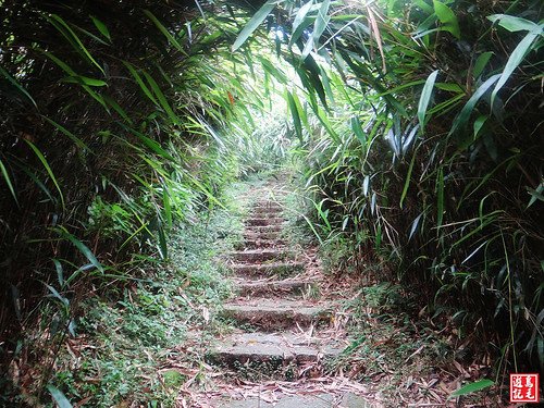 大屯主峰連峰步道 (5).jpg