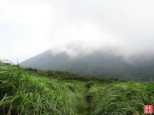 大屯主峰連峰步道 (7).jpg