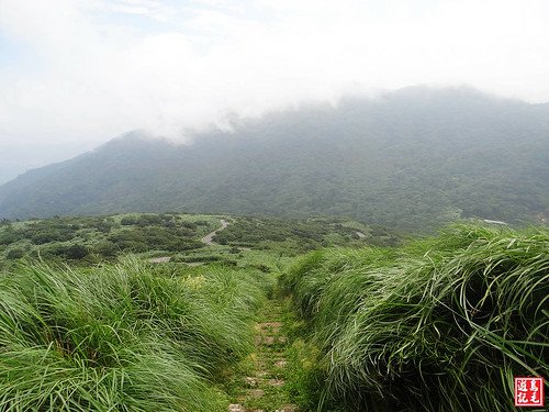 大屯主峰連峰步道 (9).jpg