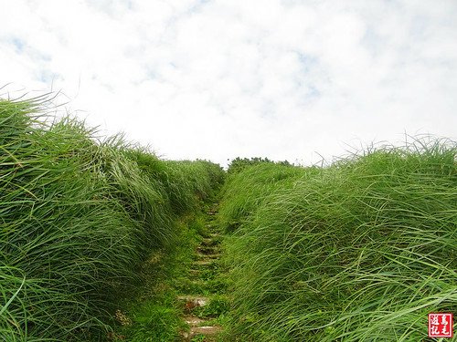 大屯主峰連峰步道 (16).jpg