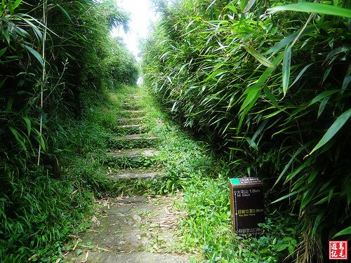 大屯主峰連峰步道 (17).jpg