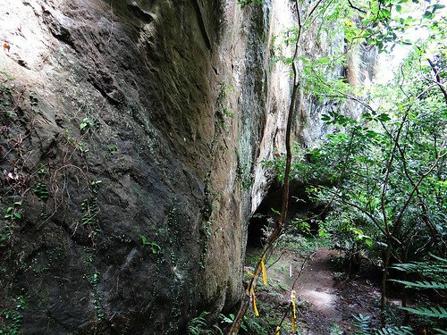 石燭尖九龍山 (14).jpg