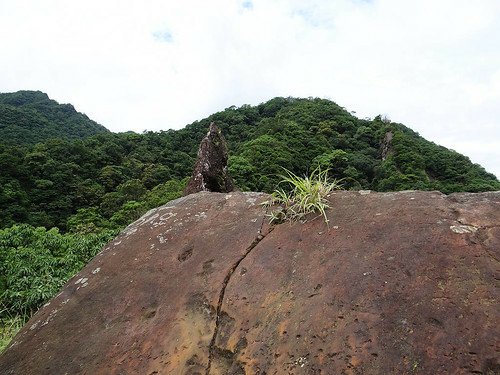 石燭尖九龍山 (26).jpg