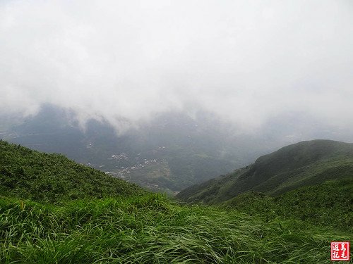 大屯主峰連峰步道 (36).jpg