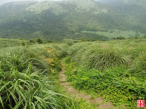 大屯主峰連峰步道 (37).jpg