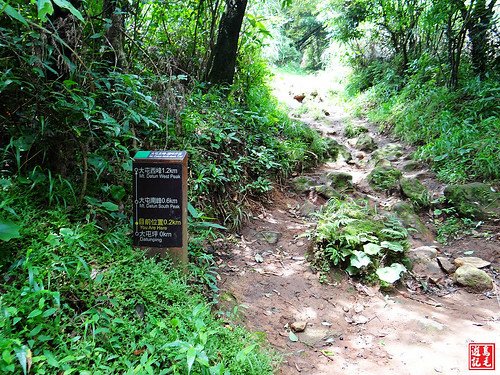 大屯主峰連峰步道 (46).jpg