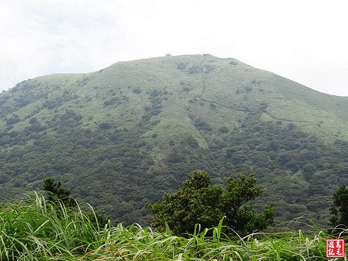 大屯主峰連峰步道 (48).jpg