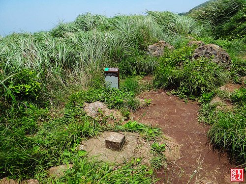 大屯主峰連峰步道 (50).jpg