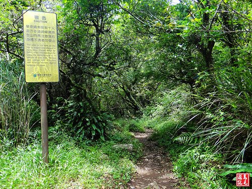 大屯主峰連峰步道 (63).jpg