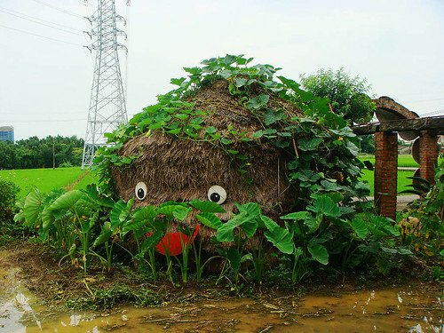 林家古厝農場 (7).jpg