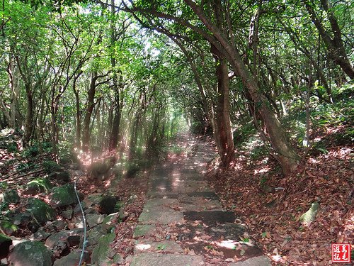 大屯主峰連峰步道 (86).jpg