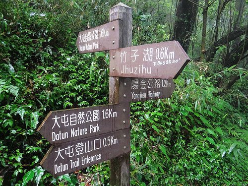 竹子湖繡球花水尾巴拉卡步道 (7).jpg