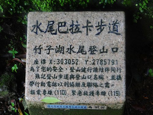 竹子湖繡球花水尾巴拉卡步道 (15).jpg