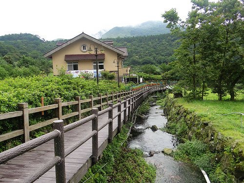 竹子湖繡球花水尾巴拉卡步道 (20).jpg