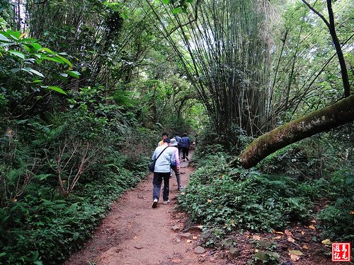 石門山景春步道 (3).jpg