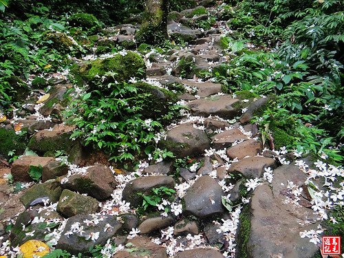 石門山景春步道 (19).jpg