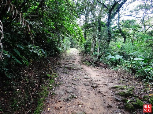 石門山景春步道 (56).jpg