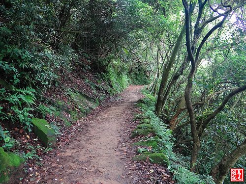 石門山景春步道 (66).jpg