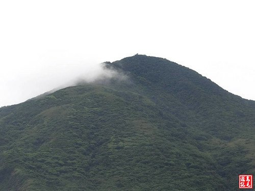 龜山島 (132).jpg