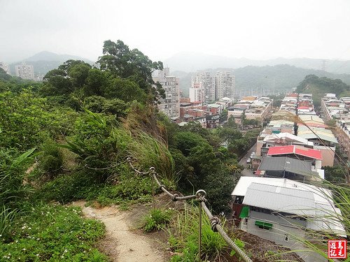 內溝山桐花步道 (12).jpg