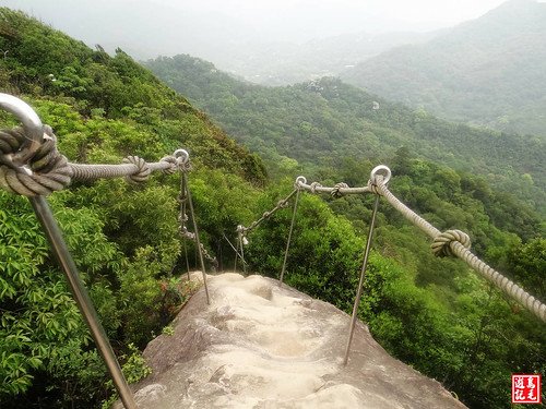 內溝山桐花步道 (52).jpg