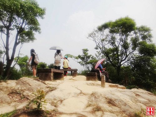 內溝山桐花步道 (85).jpg