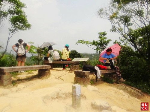 內溝山桐花步道 (86).jpg