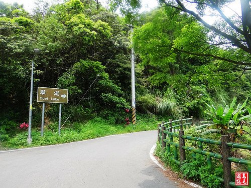 內溝山桐花步道 (111).jpg